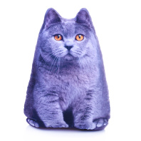 Мягкая игрушка-антистресс Кот серый МТ30001